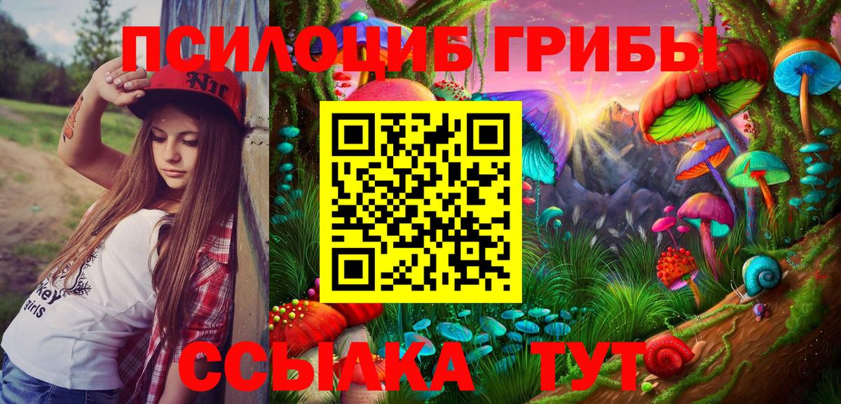 Кемерово  Псилоцибиновые грибы Psilocybe  Вход с VPN 